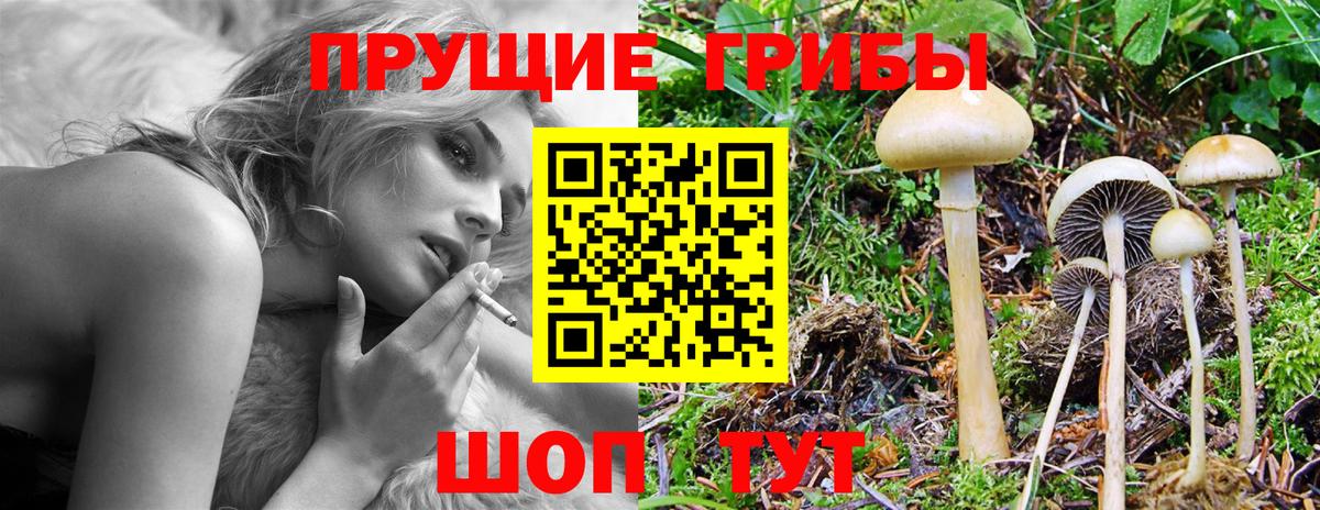 Галлюциногенные грибы мицелий Трёхгорный