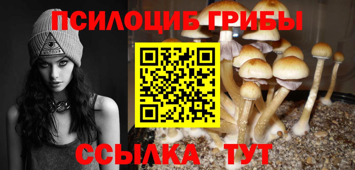 Трёхгорный  Галлюциногенные грибы MAGIC MUSHROOMS  Вход с VPN  Псилоцибиновые грибы Cubensis 